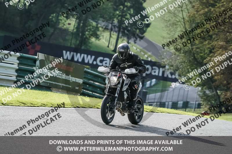 cadwell no limits trackday;cadwell park;cadwell park photographs;cadwell trackday photographs;enduro digital images;event digital images;eventdigitalimages;no limits trackdays;peter wileman photography;racing digital images;snetterton;snetterton no limits trackday;snetterton photographs;snetterton trackday photographs;trackday digital images;trackday photos